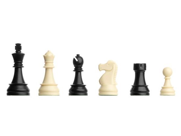 Plastic Schaakstukken No: 6, KH 95 mm, DGT Chess Pieces (in Bag)