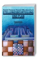 Stellungsbeurteilung und Plan