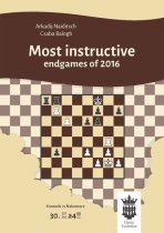 Most instructive endgames of 2016