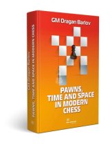 Pawns, Time and Space in Modern Chess