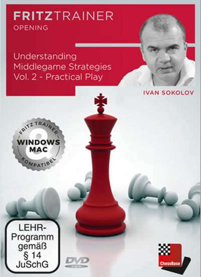 Understanding Middlegame Strategies Vol.2 - Practical Play