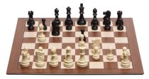 DGT Smart Board met coördinaten + Electronic Plastic Chess Pieces +DGT PI