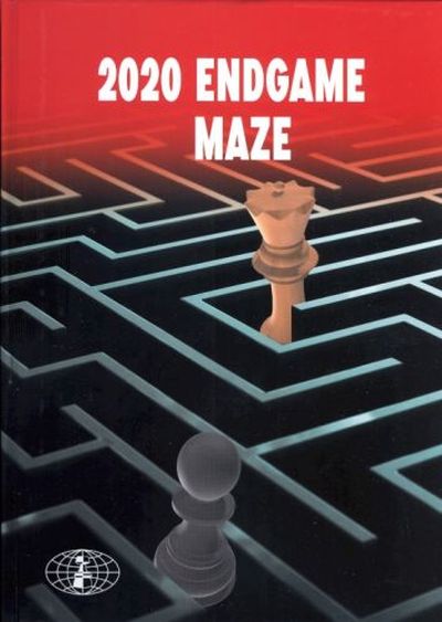 2020 Endgame Maze