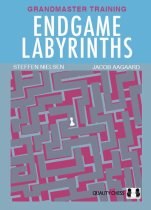 Endgame Labyrinths (Hardcover)