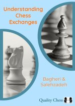 Understanding Chess Exchanges