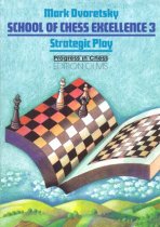 2ehands School of Chess Excellence 3, Strategic Play