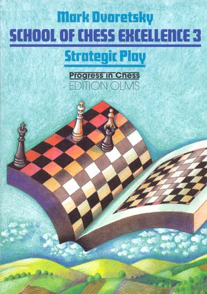 2ehands School of Chess Excellence 3, Strategic Play